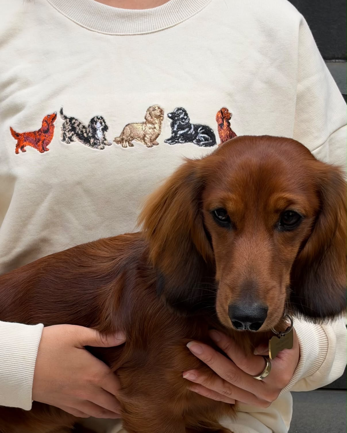 Five Dachshund Crewneck