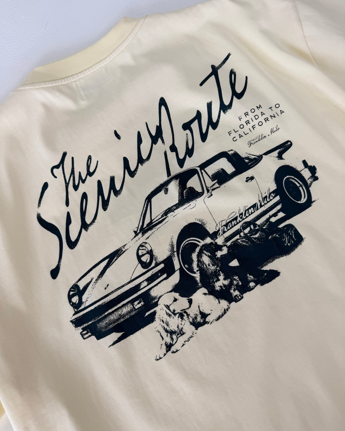 Scenic Route Tee