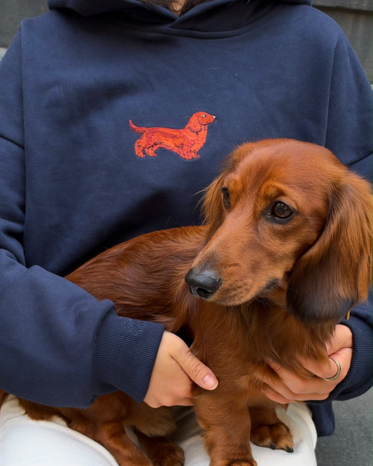 Red Dachshund Hoodie