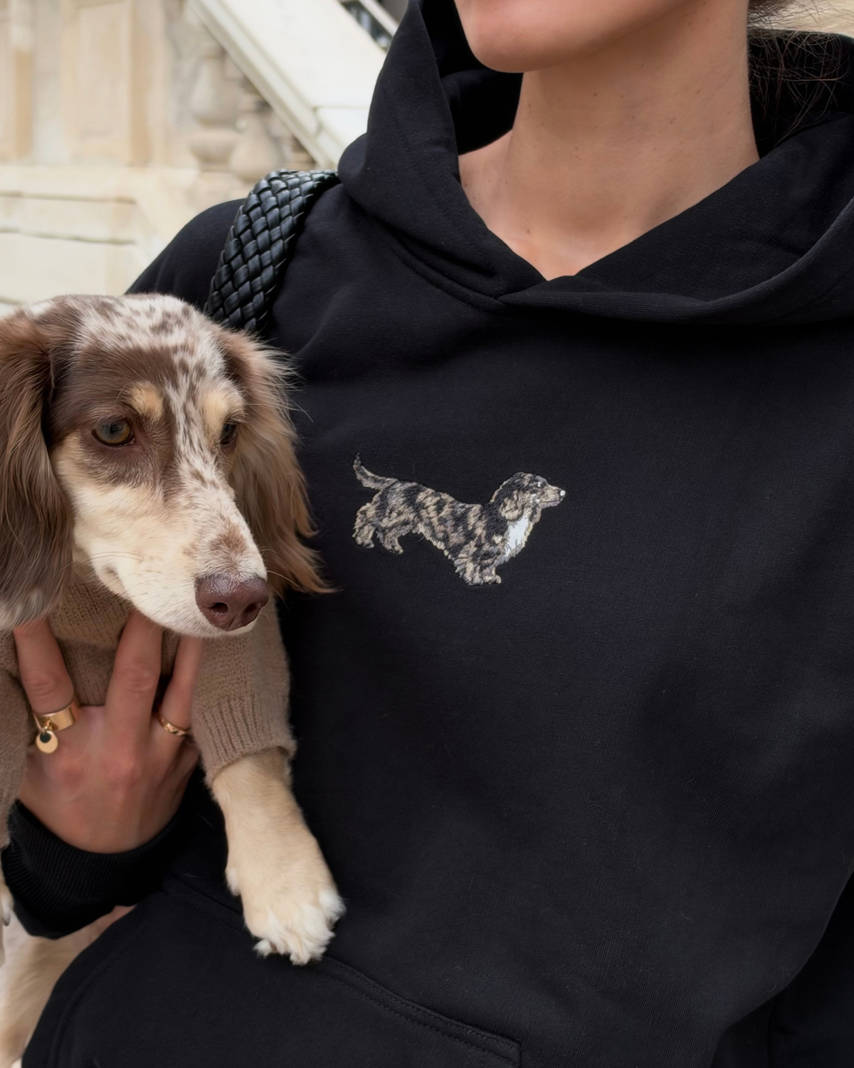 Dapple Dachshund Hoodie