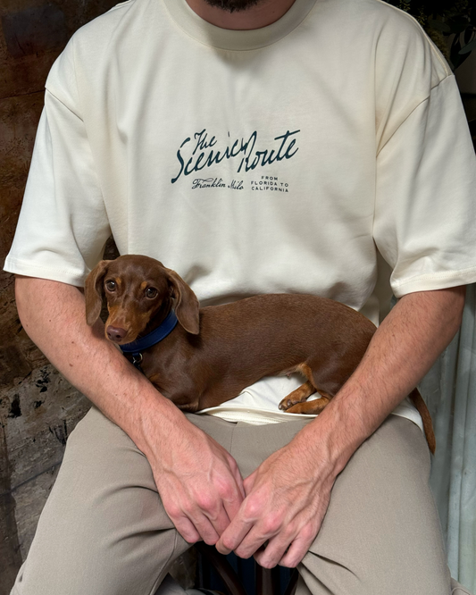 Scenic Route Tee (2 colors)